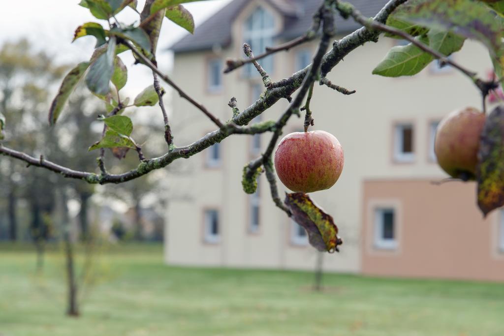 Ibis Falaise Coeur De Normandie Hotel Exterior photo